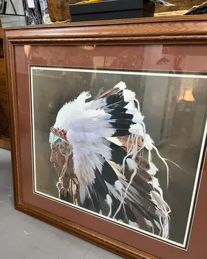 Coiffe de plumes encadrée